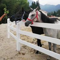 Vínil resistente a los rayos UV cerca de granja de caballos cerca de ferrocarril de caballos blancos