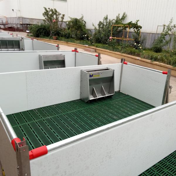 Exploração agrícola do projeto da pena de porco que levanta o material do aço da tenda de Weaner da pena do berçário do leitão do equipamento