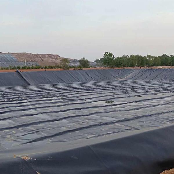 UV Resistance Farm Pond Liner Waterproof Materials 1.0mm 1.5 Mm Geomembrane