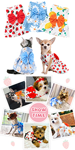 Puppy Toys For Teething Small Dogs Cute Blue Pet Dog Chew Toys For Puppies Soft Rubber Funny Bone Ball Donut Indoor