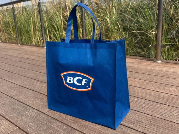 Hot Sale Personalized Logo Size Printed Eco Friendly Recyclable Reusable Grocery Portable REPT Bag Wholesale Cheap Reusable Eco pp Shopping Bag Non-woven Bag Oem Custom Gift Promotional Tote