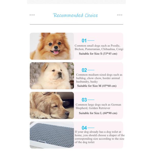 Тренировка доказательства утечки 6 слоев небольшая прокладывает аксессуары поставок любимца пусковых площадок мочи щенка
