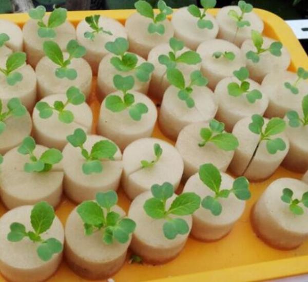 Plant Agriculture Hydroponic Growing Medium Foam