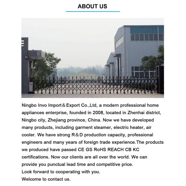 Электрическая портативная ручная одежда из ткани Удаление морщин Мини путешествие Паровое железо N.W/G.W 1.1/1.3KG