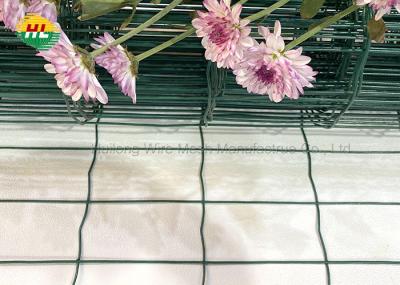 Euro Welded Wire Mesh Fencing Rolls 2x4'' Rectangle Opening