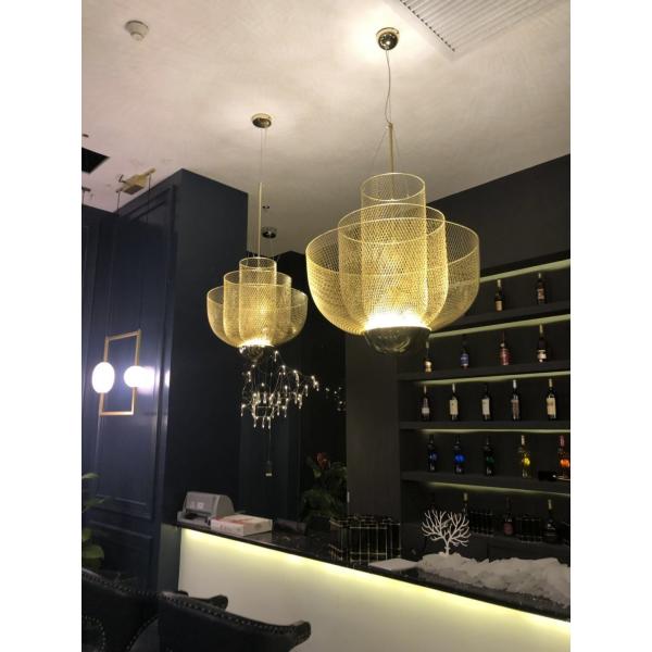 Creative modern gold metal ceiling chandelier art decor hanging lamps led pendant light
