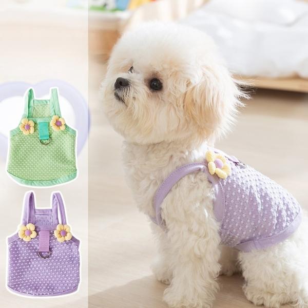 Suave máquina lavable perro lindo que lleva ropa Temática del festival Eco amigable