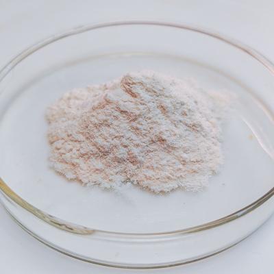Water Soluble Enzyme That Breaks Down Starch 4000U/G Alpha Amylase Manufacturers Providing Enzyme Preparation Sample Minimum Order 1kg
