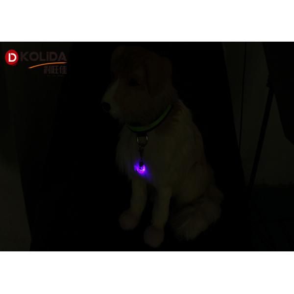 Pet Dog Collar LED Safety Tag Glow Luminous LED Flashing Lights Neck Strap Pendant Gifts