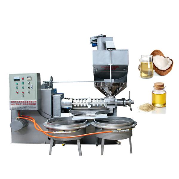 машина Presser кокоса машины прессы масла винта 15kw промышленная
