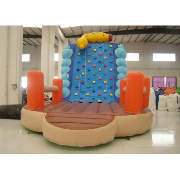 Раздувные взбираясь стена и скольжение 5 x 3,8 x 4.5m, большая стена скалолазания крупного плана