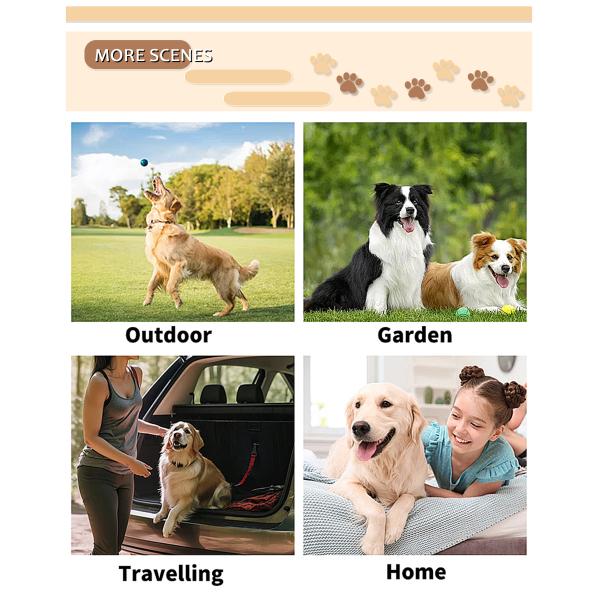 Sustainable Pet Cleaning Gloves with Private Label Wet Wipes for Dogs and Cats Eco-Friendly Design