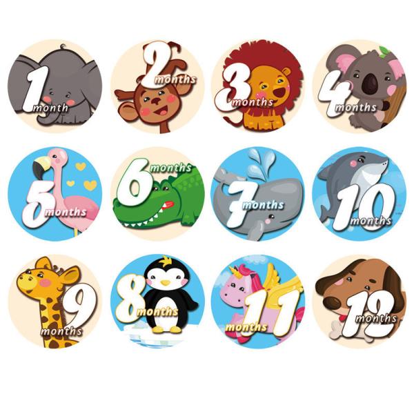 Wooden Baby Monthly Milestone Discs Double Sided Discs Round shaped - Includes 13 Cards with Drawstring Bag
