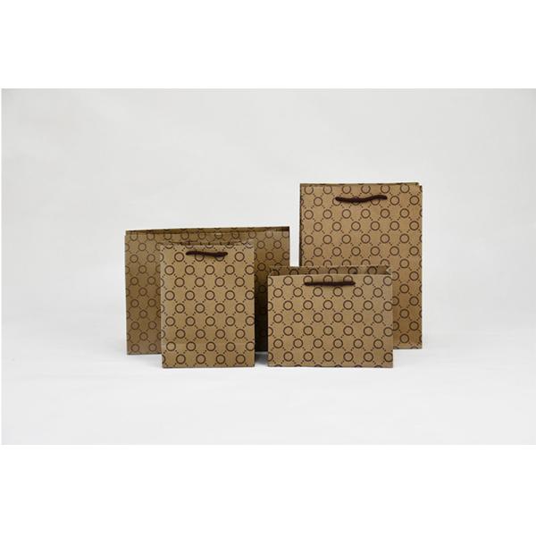 5Kg Weight Capacity Kraft Shopping Paper Bags  Eco Friendly Packaging Recycled
