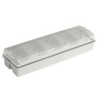 3W LED Emergency Light 6000K Waterproof Wall Mounted