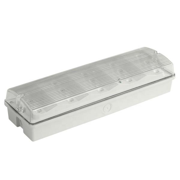 3W LED Emergency Light 6000K Waterproof Wall Mounted