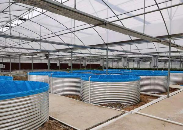 Shrimp Recirculating Aquaculture System Easy Installation Ras System Fish Farming