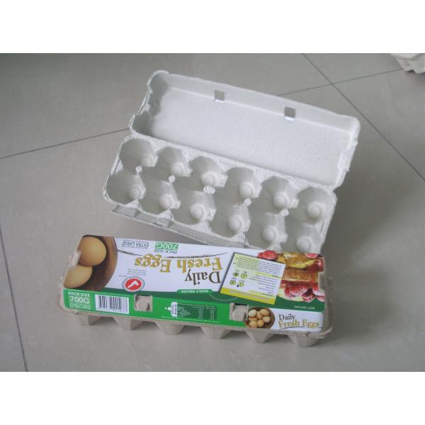 Машины для формирования яичных ящиков из целлюлозы мощностью 120 кВт с небольшими инвестициями