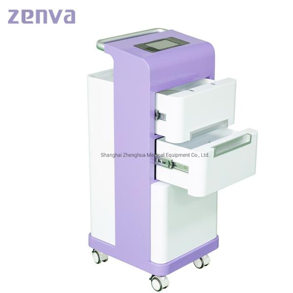 Mobile Plasma Air Disinfector , Plasma Air Sterilizer For Hospital And Home