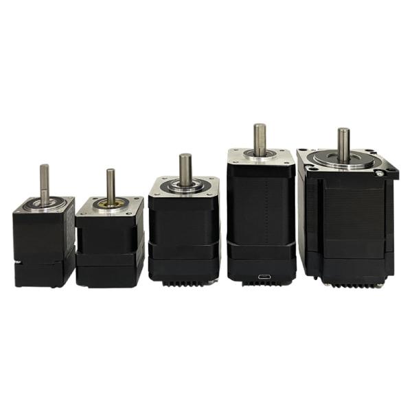 Faradyi Customized 25nm 12 24v1000w 1400 Rpm Motor Tattoo Machine Dc Brushless Nema17 Servo Stepper Schrittmotor Motor