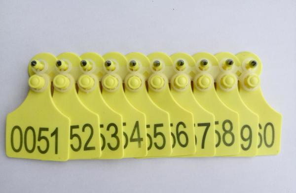 sell animal cattle ear tag,laser ear tag,cow ear tag,material SGS certificate,high78*width 58mm