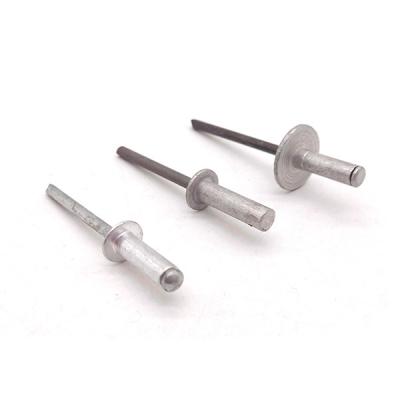 Open Type Dome Head Stainless Steel 304/Aluminium Waterproof Pop Blind Rivet