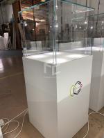 MDF grueso del diseño 8m m de los muebles de la joyería de la venta al por menor del ODM