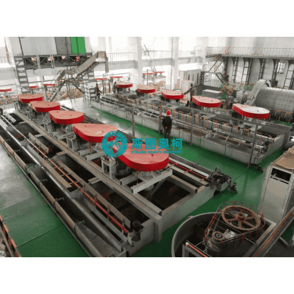 Ore Beneficiation Equipment with Flotation Machine for 20TPD-3000TPD Processing Capacity, China Famous Brand Motor, and Wear Resistant Alloys Material