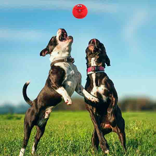 собаки игрушек жевания 6.5cm взаимодействующие