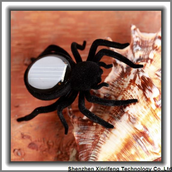 Eco-friendly Gadgets Plastic Small Solar Toys Solar Insect Solar Spider Toys for Kids Toy