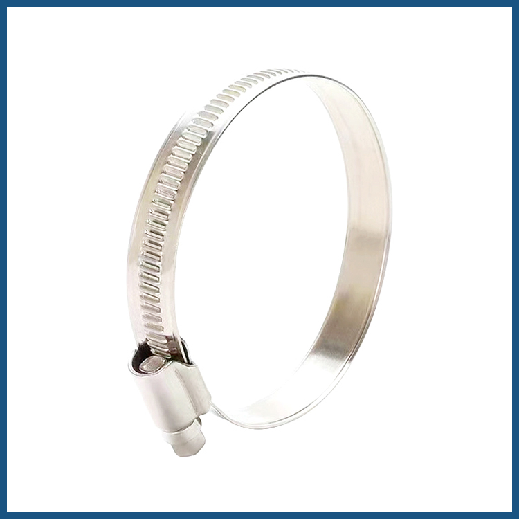 High Strength Marine Rings Round Nut Rigging 304 Stainless Steel Eye Bolt Lifting Screw
