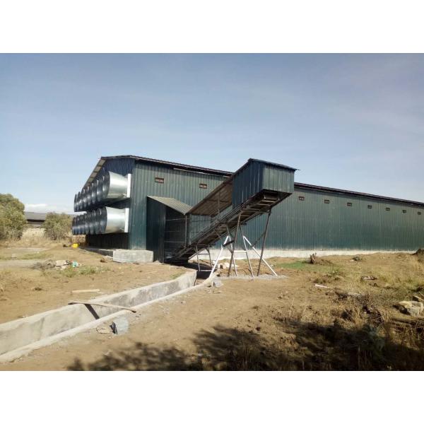 Тип цвет серебра гальванизировал клетки для ярусов цыпленка 3