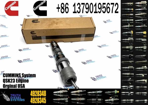 Venta al por mayor Suministro directo QSK19 QSK60 Motor inyector de combustible 4928348