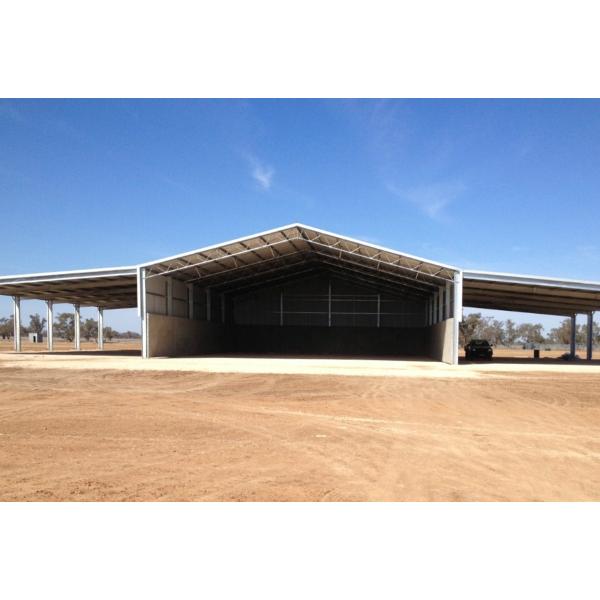 Промышленные самолеты с предварительным проектированием Хангары H Beam Steel Hangar с дверью