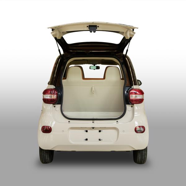 EEC EV Cars Chinese Right Hand Energy Car with 205KM Range and 100km/h Max Speed