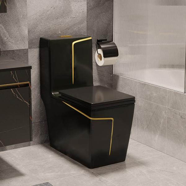 Egg Shape Bathroom Sanitary Ware S Trap One Piece Black Bathroom Toilet