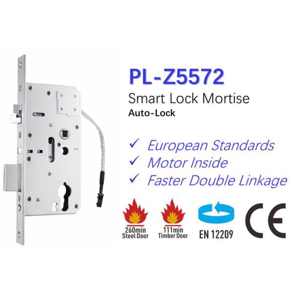 Metal Lock Golden Wooden Brass Door Security Mortise Lock Body Set for European Doors