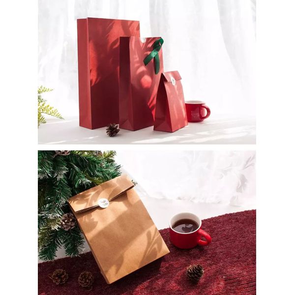 SGS PMS Kraft Christmas Gift Packing Box Biscuit Candy Snack Packaging Bag