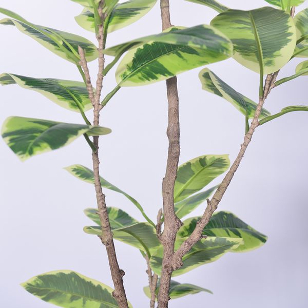 Latest New Arrival Artificial Indoor Plants Potted Plants Green White Faux Rubber Tree for Decoration Office Small Plastic