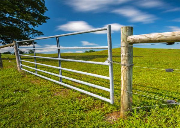 Galvanized 1.2mm Driveway Farm Gate Metal Agricultural With Hingle