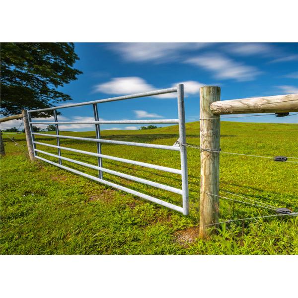 Galvanized 1.2mm Driveway Farm Gate Metal Agricultural With Hingle