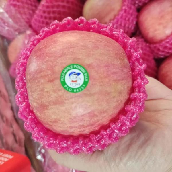 2024 Best Green Fuji Apples Fresh Product with 0.4kg Weight