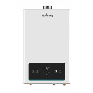 16KW 110V-380V Aquecedor de água a gás de temperatura constante Branco 8L
