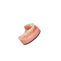 Sistema de varredura Intraoral dental dental da imagem latente da ponte 3D Digitas do laboratório PFM da dentadura