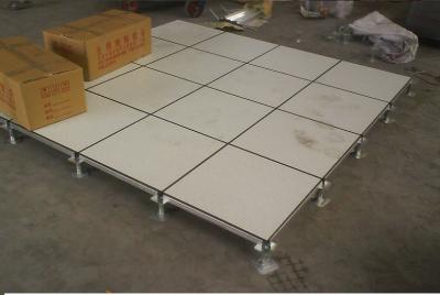 FS450 HDG600 600 x 600 x 30mm Anti Static Raised Computer Floors A class non-combustible