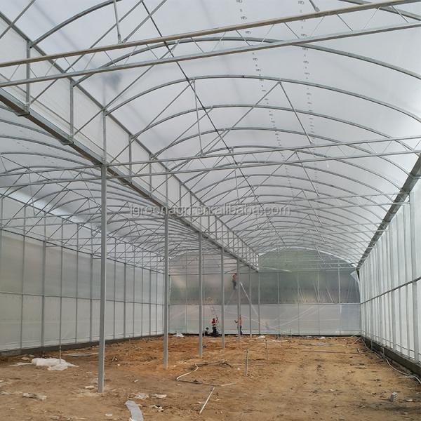 2-5m Shoulder Height High Tunnel Sawtooth Greenhouse for Commercial Plant Cultivation