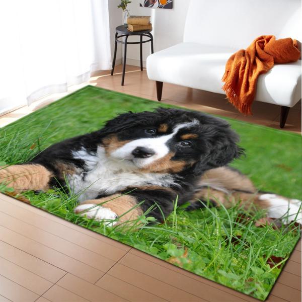 Creative Living Room Floor Carpets Anti Skid Dining Room Floor Mat