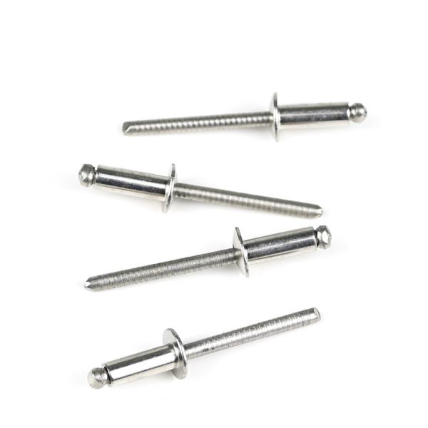 Résistant à la corrosion en acier inoxydable Ss316 Rivets à tête en forme de dôme