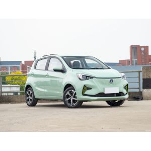 автомобиль взрослого EV колеса мотора 4 хэтчбека 5Kw звезды EV 310km Changan Benben e