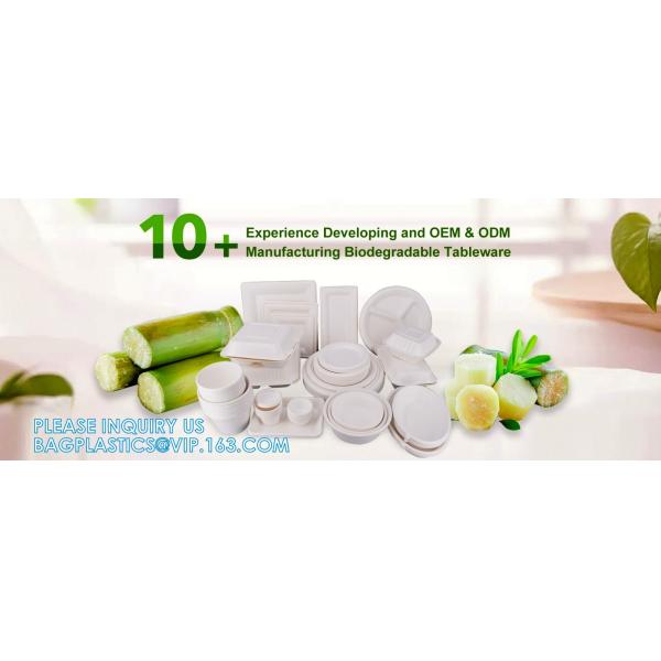 YANTAI BAGEASE PACKAGING PRODUCTS CO.,LTD
